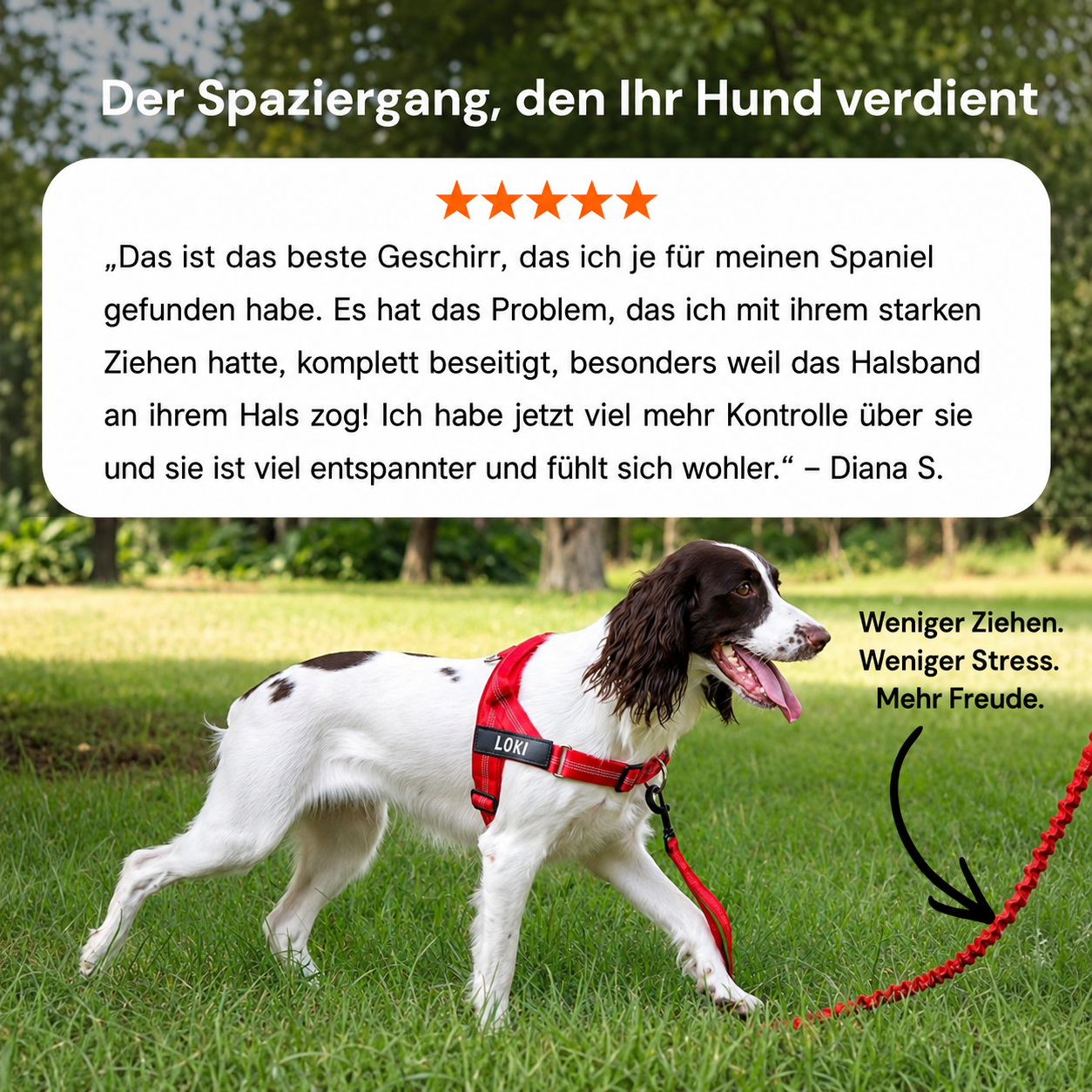 Wuffley No-Pull Geschirr